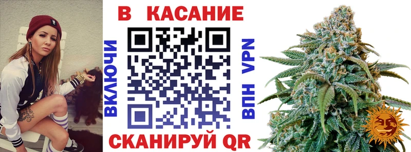 Где купить Прохладный COCAIN Гашиш