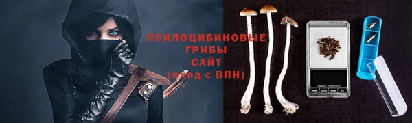 a pvp Алзамай