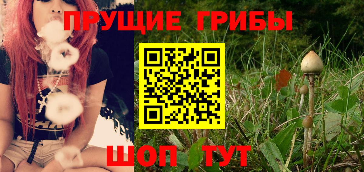 Галлюциногенные грибы ЛСД Прохладный