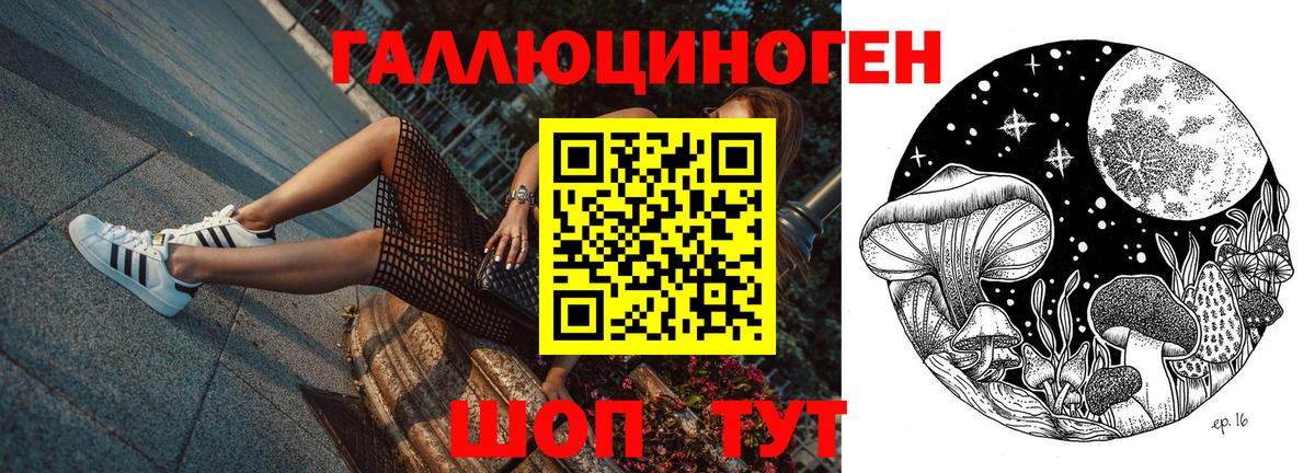 Псилоцибиновые грибы прущие грибы  Псилоцибиновые грибы мухоморы  Вход с VPN  Прохладный 