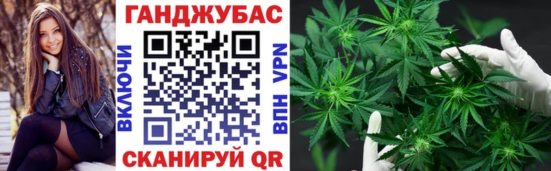 МЕГА   где купить наркоту  Прохладный  Шишки марихуана сатива 